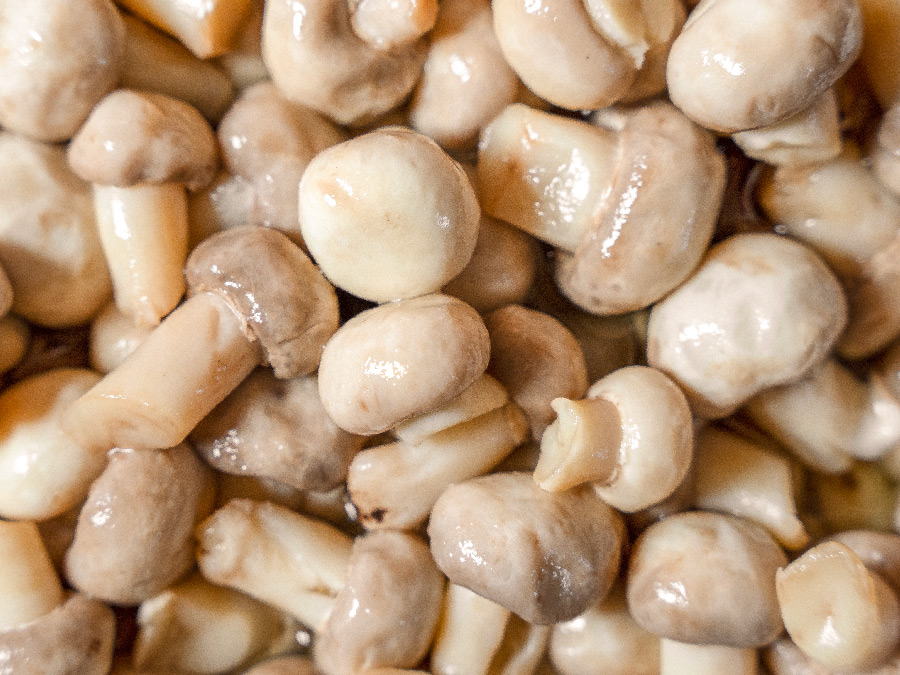 whole Blanched Whole Button Mushrooms